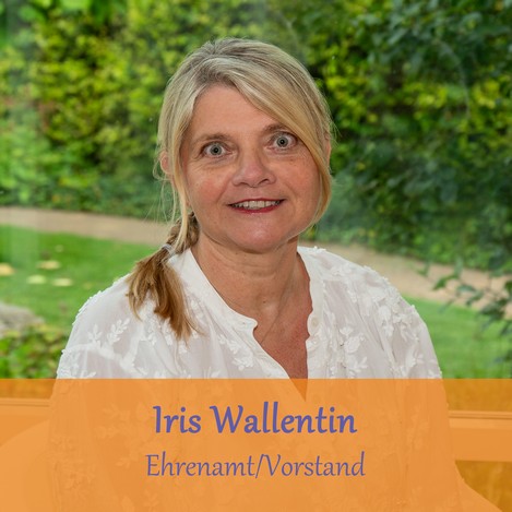 Iris Wallentin, Schatzmeister